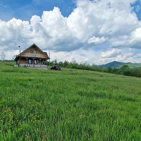 Villa Casa Bunicilor Din Oncesti Esterno foto