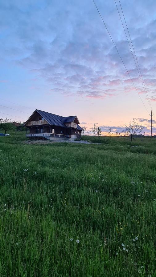 Villa Casa Bunicilor Din Oncesti Esterno foto
