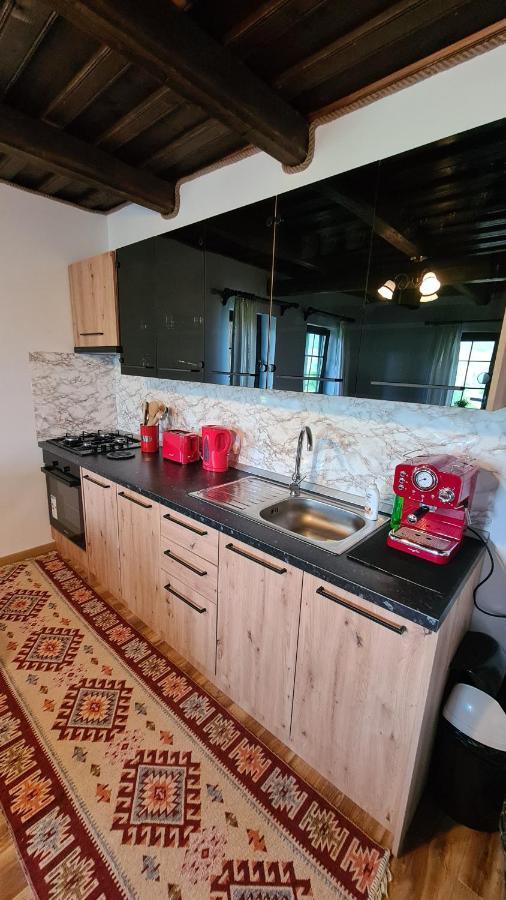 Villa Casa Bunicilor Din Oncesti Esterno foto