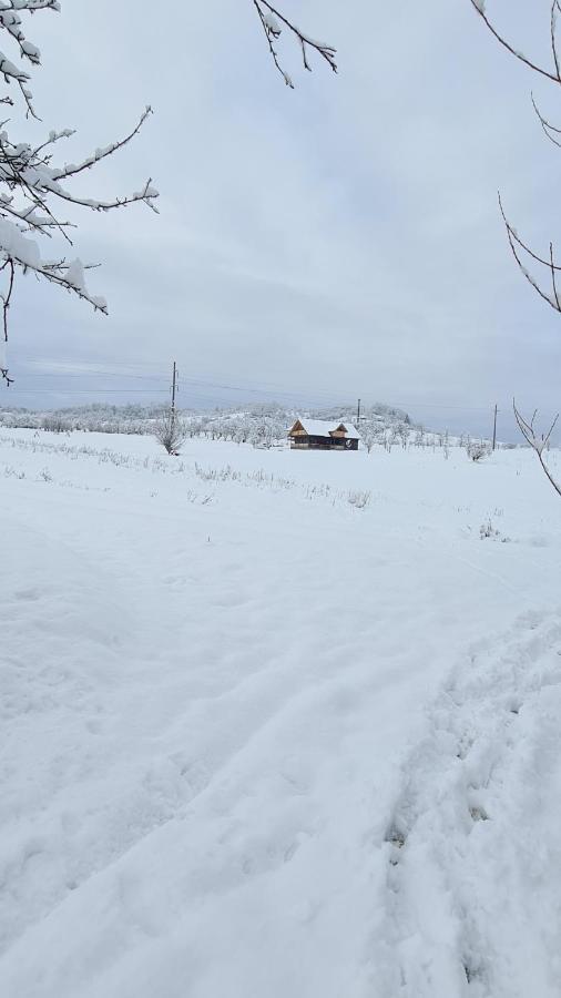 Villa Casa Bunicilor Din Oncesti Esterno foto