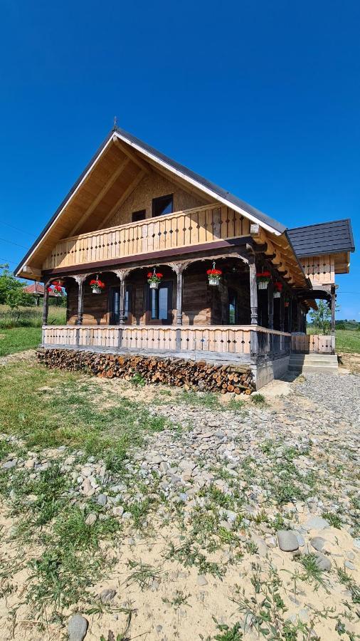 Villa Casa Bunicilor Din Oncesti Esterno foto