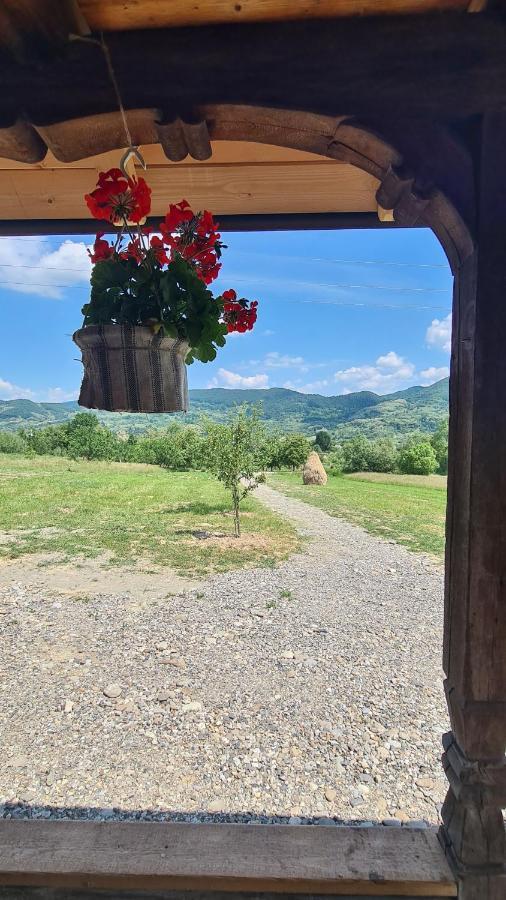 Villa Casa Bunicilor Din Oncesti Esterno foto