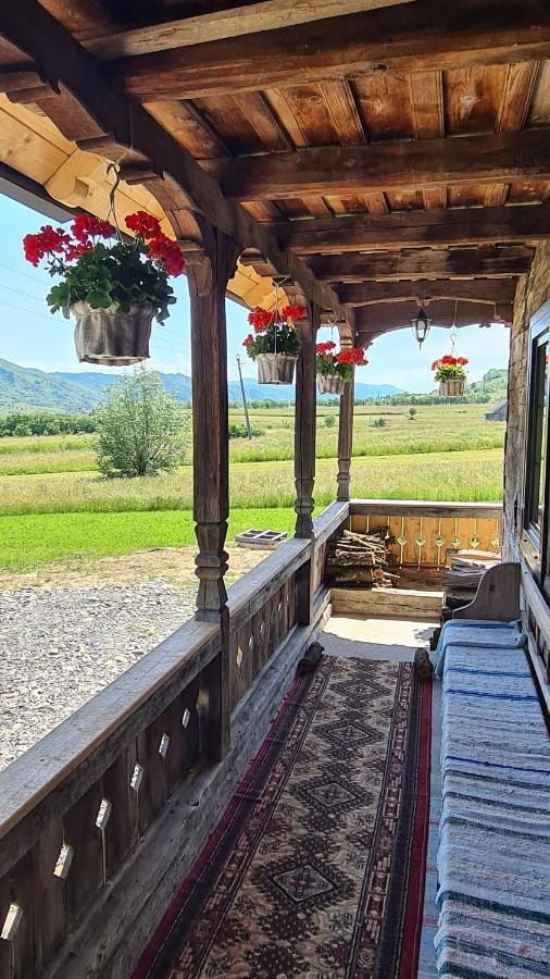 Villa Casa Bunicilor Din Oncesti Esterno foto