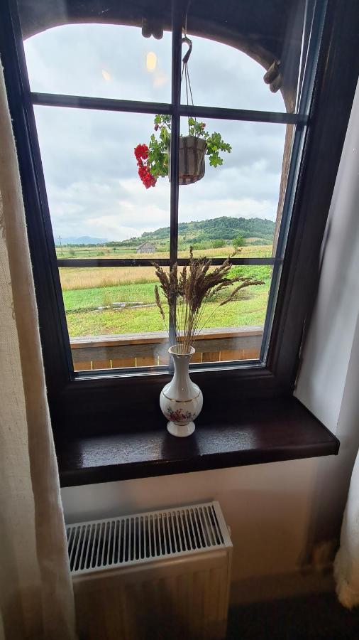 Villa Casa Bunicilor Din Oncesti Esterno foto